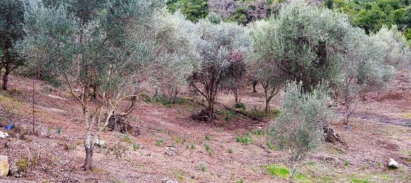 21000m² Hotel in Corfu, Greece No. 5174 15