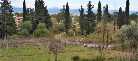 21000m² Hotel in Corfu, Greece No. 5174 9