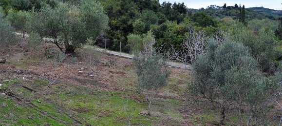 21000m² Hotel in Corfu, Greece No. 5174 16