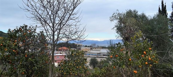 21000m² Hotel in Corfu, Greece No. 5174 7