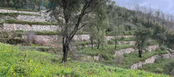  Land in Monchique, Portugal No. 83248 6