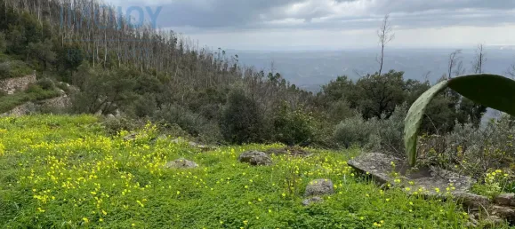  Land in Monchique, Portugal No. 83248 7