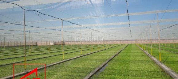 Grundstück in Andalusia, Spain 115000m², Nr. 168650 5