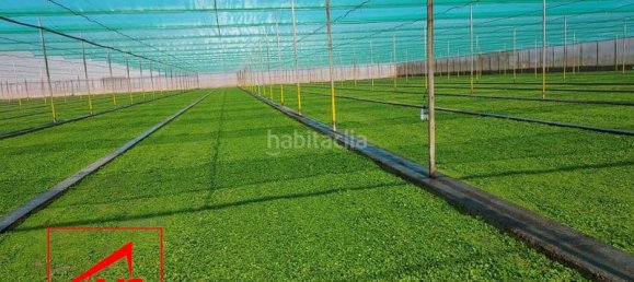 Grundstück in Andalusia, Spain 115000m², Nr. 168650 6