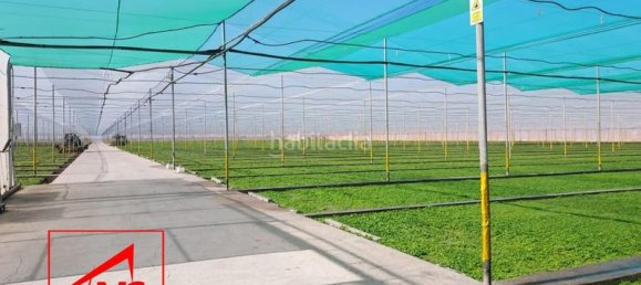 Grundstück in Andalusia, Spain 115000m², Nr. 168650 8