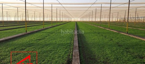 Grundstück in Andalusia, Spain 115000m², Nr. 168650 7