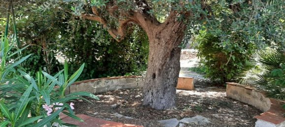 8 rooms Villa in Leporano, Italy No. 285282 25