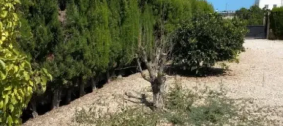 831m² Land in Sueca, Spain No. 166199 4