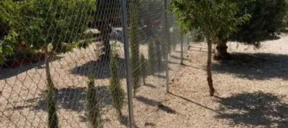 831m² Land in Sueca, Spain No. 166199 2