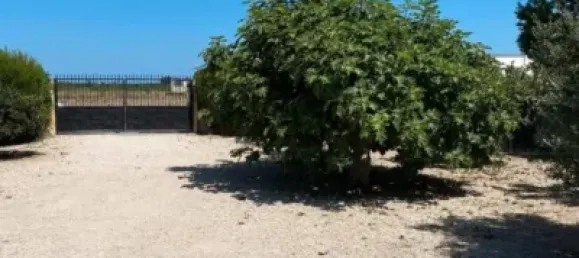 831m² Land in Sueca, Spain No. 166199 3