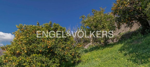 12-salle Villa à Trevignano Romano, Italy No. 128051 32