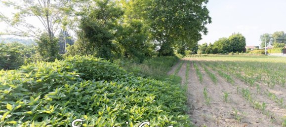 2830m² Land in Varallo Pombia, Italy No. 122525 6