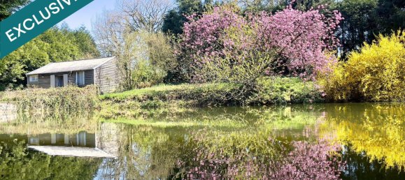 3 chambres Maison à Mayenne, France No. 316945 2