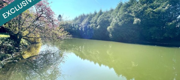 3 chambres Maison à Mayenne, France No. 316945 4
