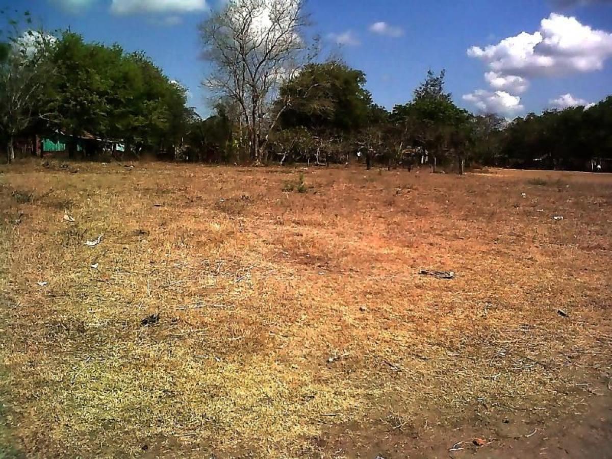  قطعة أرض في Veracruz, Mexico رقم 205739