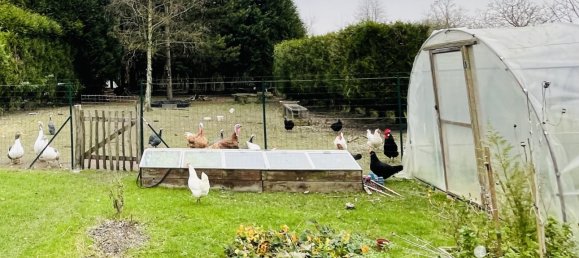 3 chambres Maison à Loos-en-Gohelle, France No. 43124 8