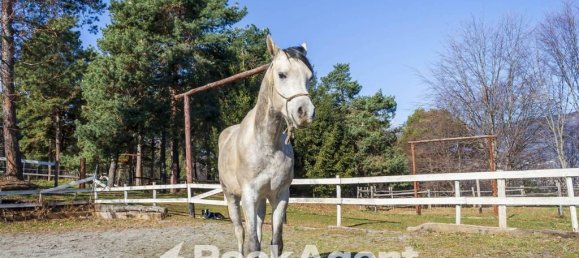 2 غرف نوم منزل في Giaveno, Italy رقم 334970 27