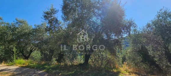 7-Zimmer Haus in Pescia, Italy, Nr. 293322 41