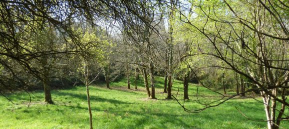 4 chambres Maison à Madiran, France No. 199073 2