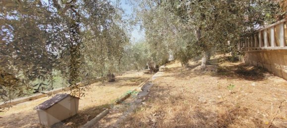 3-Zimmer Villa in Vieste, Italy, Nr. 25937 13