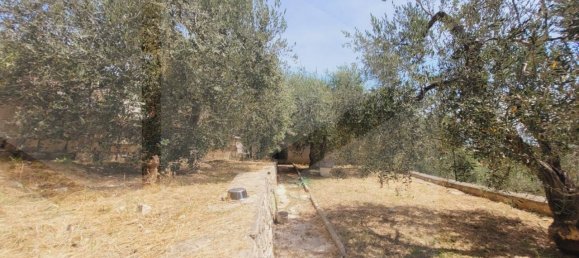 3-Zimmer Villa in Vieste, Italy, Nr. 25937 16