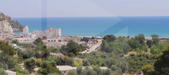 3-Zimmer Villa in Vieste, Italy, Nr. 25937 19