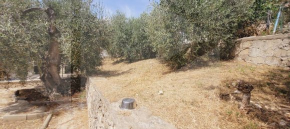 3-Zimmer Villa in Vieste, Italy, Nr. 25937 14