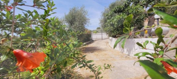 3-Zimmer Villa in Vieste, Italy, Nr. 25937 12