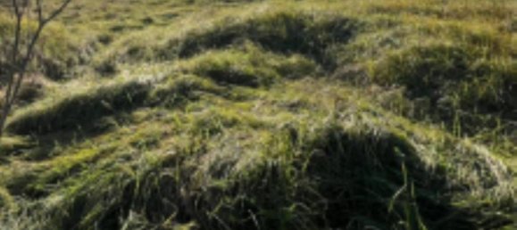 5900m² Land in Imola, Italy No. 265627 8