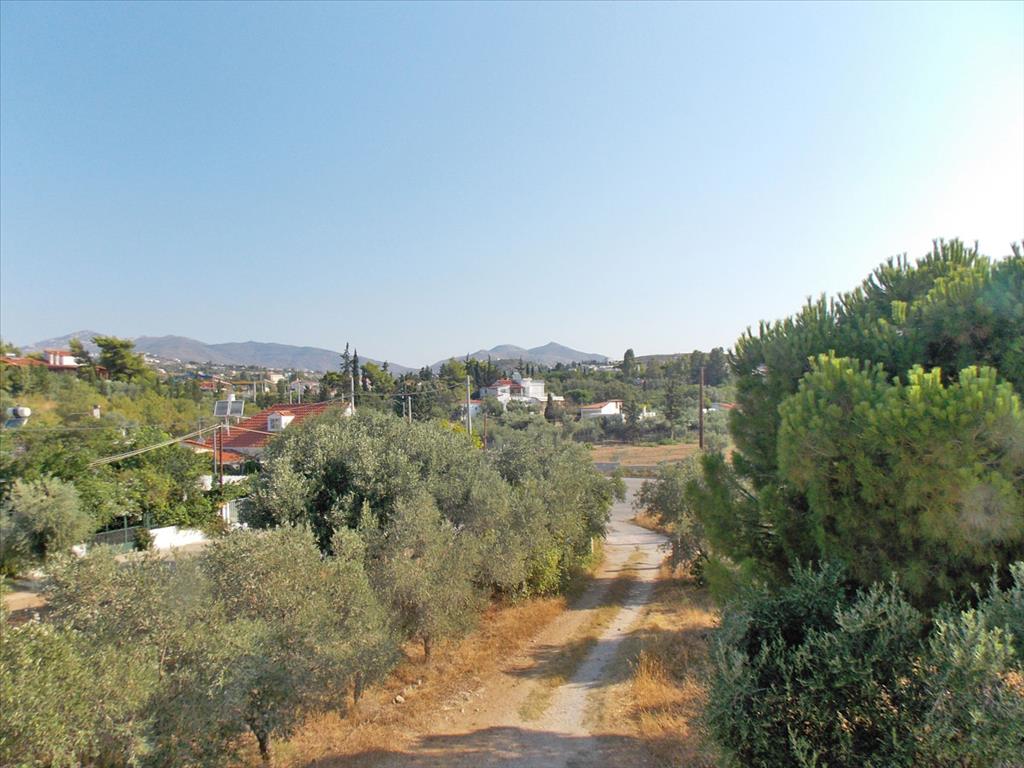 Hotel em Pallini, Greece 3000 m² N.º 7681