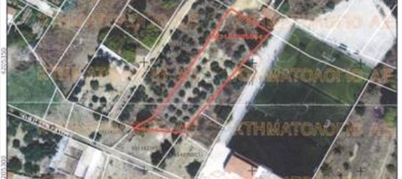 3000m² Hotel in Pallini, Greece No. 7681 2