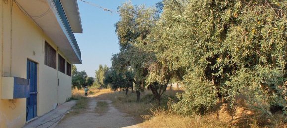 3000m² Hotel in Pallini, Greece No. 7681 4