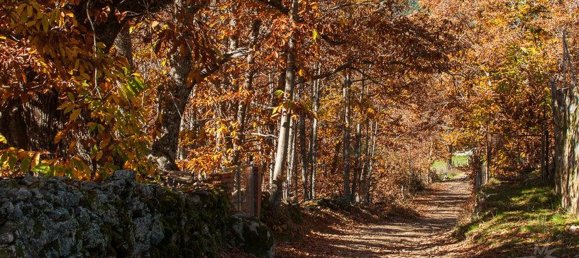 3 chambres Appartement à Avila, Spain No. 163022 10