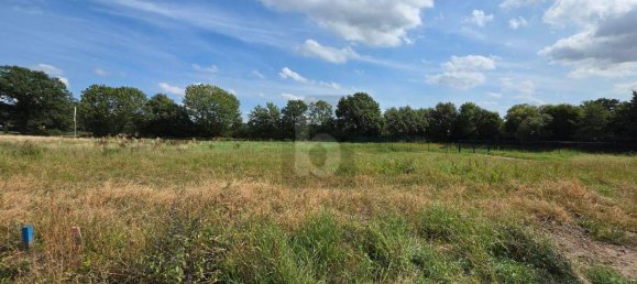  Land in Segeberg, Germany No. 318941 4