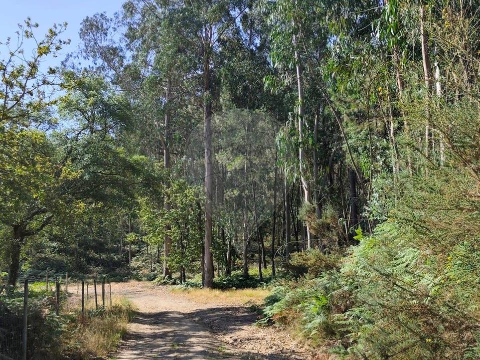  Land in Arnoia, Portugal No. 296474