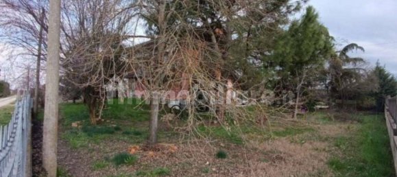 3 bedrooms Apartment in Magliano Alfieri, Italy No. 289851 7