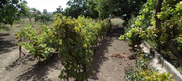 8 chambres Maison à Palencia, Spain No. 76202 3