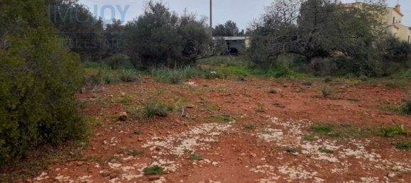 Grundstück in Silves, Portugal 23711m², Nr. 81998 5