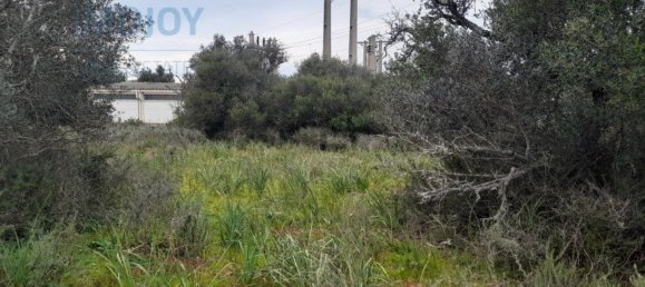 Grundstück in Silves, Portugal 23711m², Nr. 81998 11