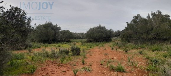 Grundstück in Silves, Portugal 23711m², Nr. 81998 7