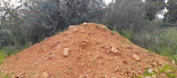 Grundstück in Silves, Portugal 23711m², Nr. 81998 14