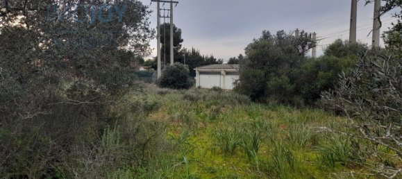 Grundstück in Silves, Portugal 23711m², Nr. 81998 10