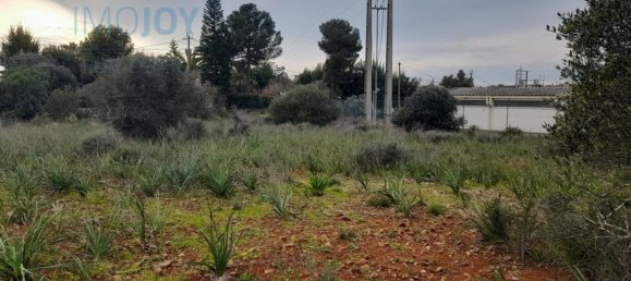 Grundstück in Silves, Portugal 23711m², Nr. 81998 9