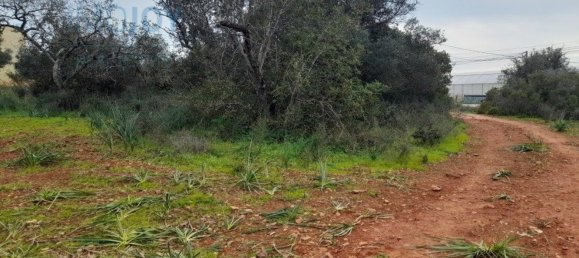 Grundstück in Silves, Portugal 23711m², Nr. 81998 3