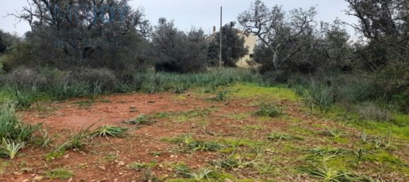 Grundstück in Silves, Portugal 23711m², Nr. 81998 4