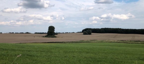 4 chambres Maison de ville à Nordwestmecklenburg, Germany No. 262995 4