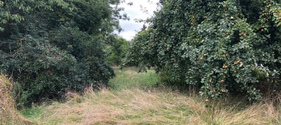 4 chambres Maison de ville à Nordwestmecklenburg, Germany No. 262995 7