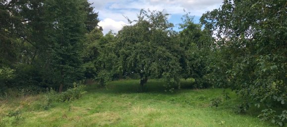 4 chambres Maison de ville à Nordwestmecklenburg, Germany No. 262995 9