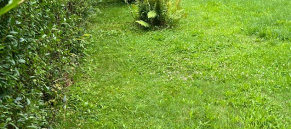  Land in Potsdam-Mittelmark, Germany No. 262369 2