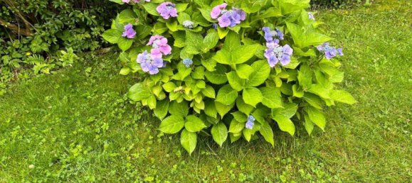  Land in Potsdam-Mittelmark, Germany No. 262369 7